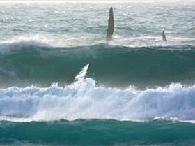 Shane Morris & friend, Gnaraloo Oct 07