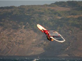 Jaeger Stone up with the birds Esperance   Feb 08