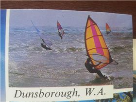 They were everywhere!