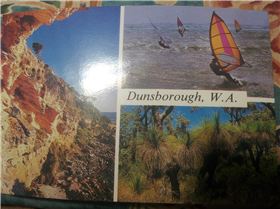 They were everywhere!