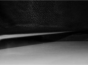 FF22Sid Leading Edge