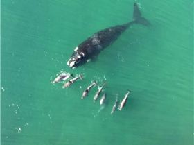 storageemulated0Androiddatacom.sec.imsservicefilesSamsung MessagesScreenshot 20190715-155845 Message