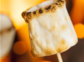 Toasted Marshmellow