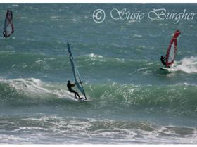 Onboard Robe Easter Classic 2008