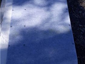 20190818 130549 (Large)