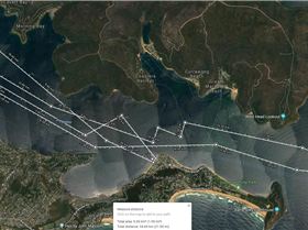 2019-09-14 SaltPan to SandPt to ScotlandIs to nearLionIs to nearSandPt & return 1200-1545 correction