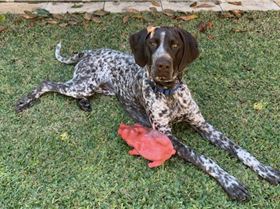 Screen Shot 2019-09-21 at 4.44.26 pm