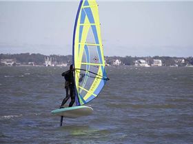 Custom Big Boy Freefoil board