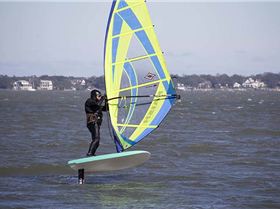 Custom Big Boy Freefoil board