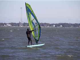 Custom Big Boy Freefoil board