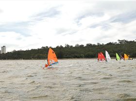 photos race 24 nov 4