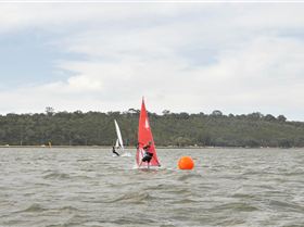 photos race 24 nov 7