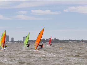 photos race 24 nov upwind