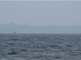 Slalom State Championship