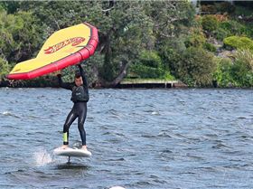 4023752261720080384 n