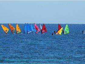 Windsurfer club race at BSYC