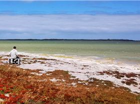 Screenshot 20200117 125517 com.android.gallery3d