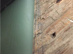 Atomic weed fin Prototype