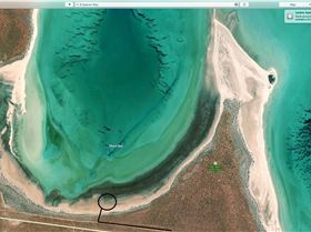 Image 20-3-20 at 8.52 am