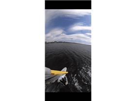 Carvstar Mount with Gopro Max