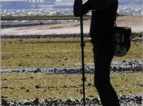 Gusty west wind at Wello.