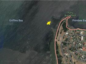 razor clam cut location