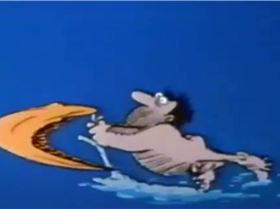 Homowindsurfer decendant of homerectus