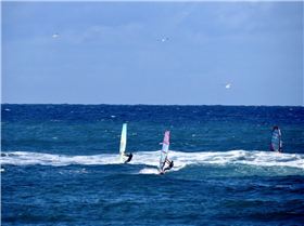 Windsurfing