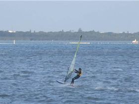 Screen Shot 2020-07-17 at 7.39.56 PM