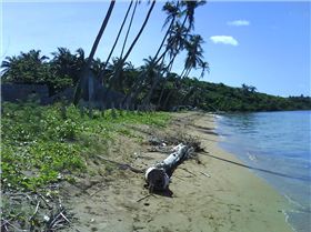 ross the unknown aussie beachfront
