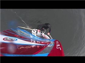 Foil Falcon 148 2011