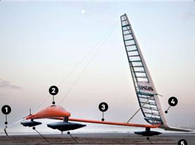 Screen Shot 2020-08-25 at 7.49.54 am