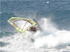 new np zone and firefly