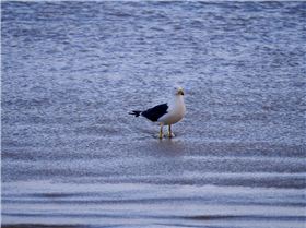 couple of pics from Sunday