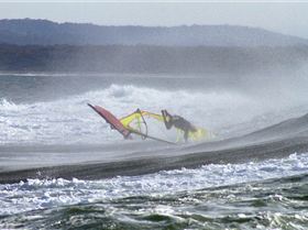 I got these shots a few days before Jason's photos, but I cannot remember who it was!!!