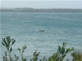 sandy point 02-07-08