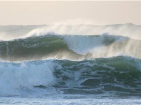 Marrawah - BOL - fun days- love winter!