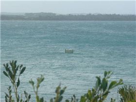 Sady Point super high tide storm surge 02-07-08