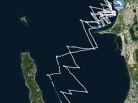 Screen Shot 2018-02-04 at 7.39.52 pm