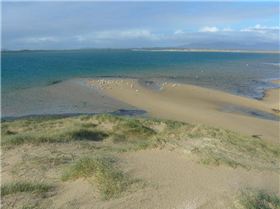 High tide aftermarth at sandy point