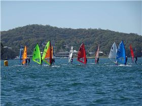 2020 Windsurfer Class state championships
