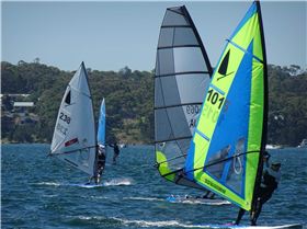 2020 Windsurfer Class state championships
