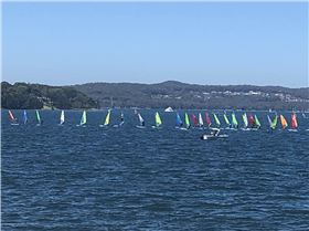 2020 Windsurfer Class state championships