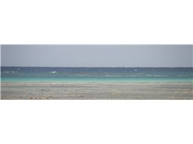 Green Island speed run