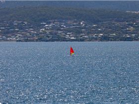 Windsurfer LT Tas State Titles