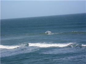 Mid Coast SA this morning