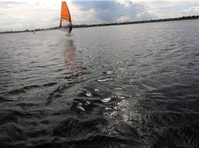 WindFoiling with Friends