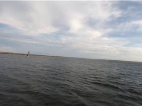 WindFoiling with Friends