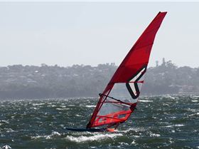 Foil Fest 2021 Action at the Goolangatup Sailing Carnival