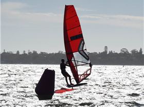 Foil Fest 2021 Action at the Goolangatup Sailing Carnival